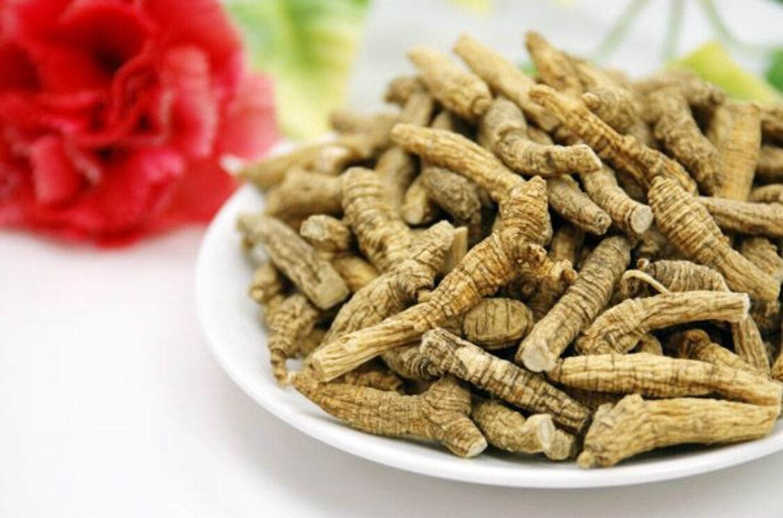 产品编号: 花旗参 名称:花旗参  主治功能:抗疲劳,滋补强身,调整体质